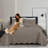 Microfiber Embossed Bedspread Set-1410327524-1410327520