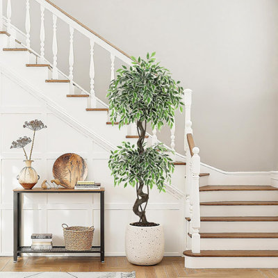 4/5/6FT Realistic Artificial Ficus Tree, Faux Floor Plant with White Ceramic Pot & Moss for Indoor