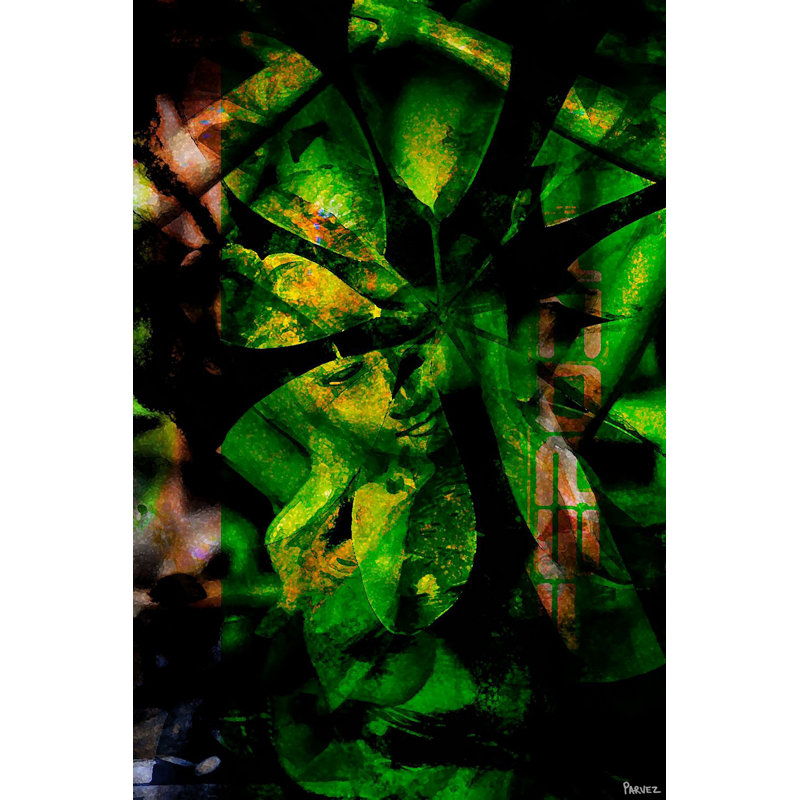 Parvez Taj - Wrapped Canvas Print, 114cm H x 76cm W