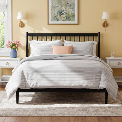 Everette Cotton Quilt Set