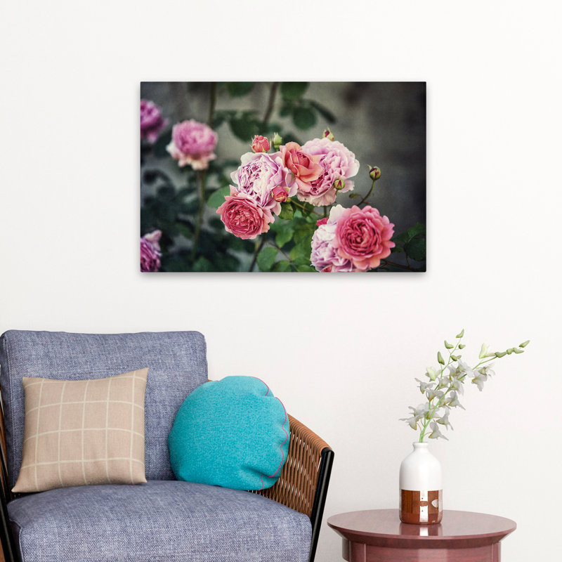 Plantes, fleurs, roses d'Ecosse III, art mural, H 16 po x l 24 po
