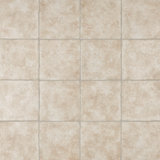 Costa 8" x 8" Ceramic Wall & Floor Tile