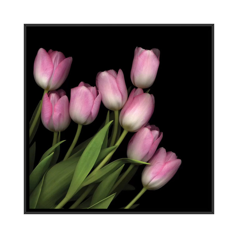 Rose pastel doux, reproduction de photo sur toile tendue, H 37 po x l 37 po x P 1,5 po, Toile avec cadre noir, Pas de tapis
