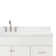 Hamlet 67'' Single Bathroom Vanity with White Quartz Top