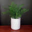 Ceramic Cachepot