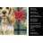 Lemon Roan English Cocker Spaniel Christmas PoinsettIas Kitchen Towel-2080583720