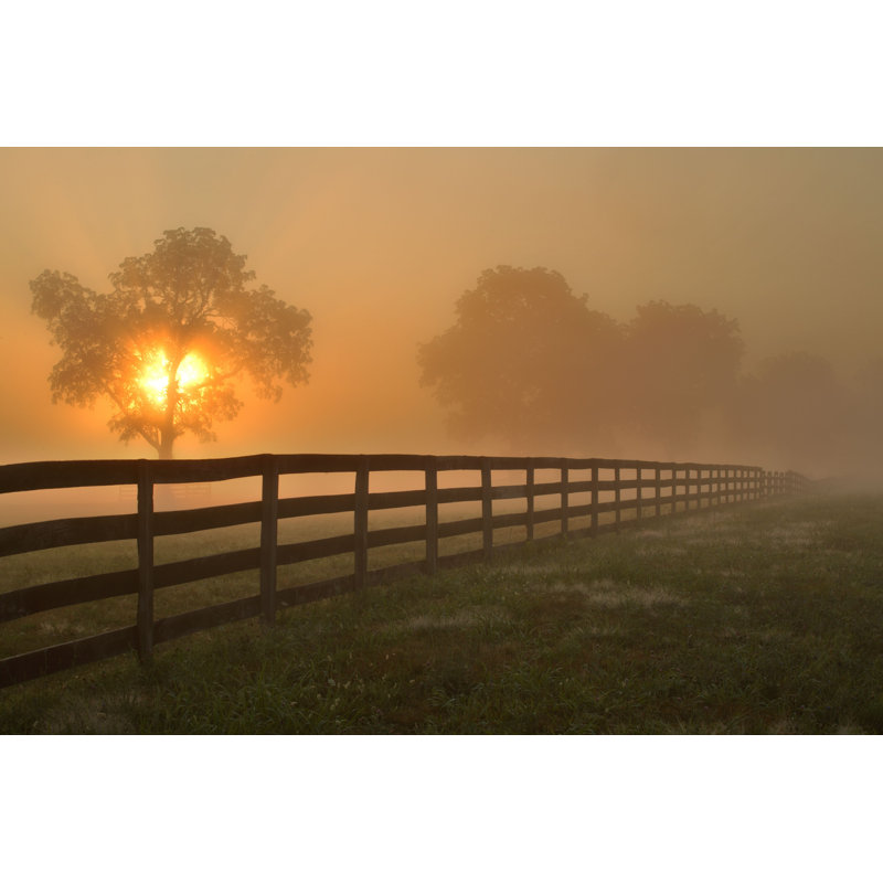 Country Summer Morning - Photographie sur toile tendue, H 8 po x l 12 po