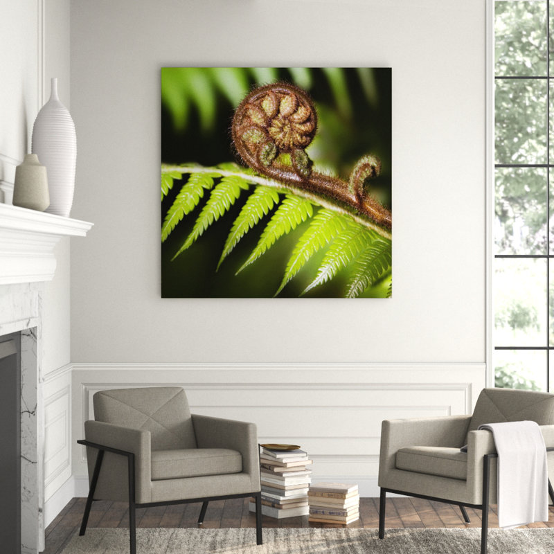 Fern Branch! Print, 56" H x 56" W x 1" D, Acrylic