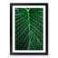 Dewdrops upon a Green Leaf in Abstract - Picture Frame Graphic Art Print-55740202-55740198