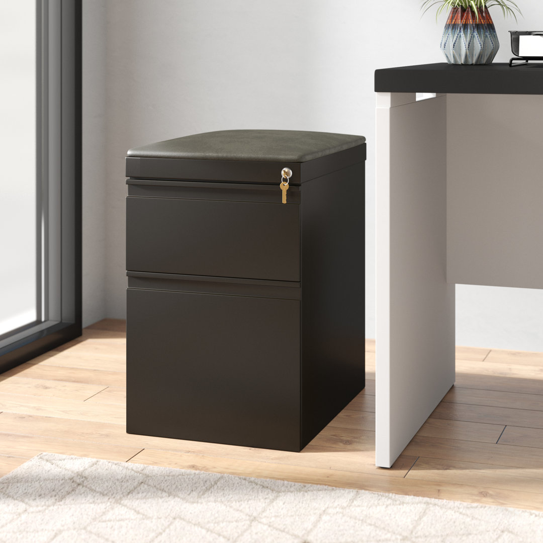 2-Drawer Vertical Filing Cabinet CommClad 