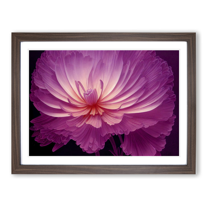 Miraculous Chrysanthemum Flower - Framed Print, 34cm H x 46cm W, Walnut Framed