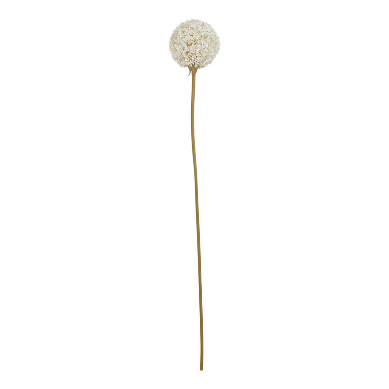 Arrangement, 66cm H x 6cm W x 6cm D