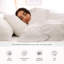 100% Cotton Standard Fitted Sheet-597906577-597906581