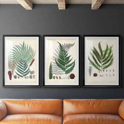 Collected Ferns I -Custom Framed Premium Print W Matt - 3 Pieces