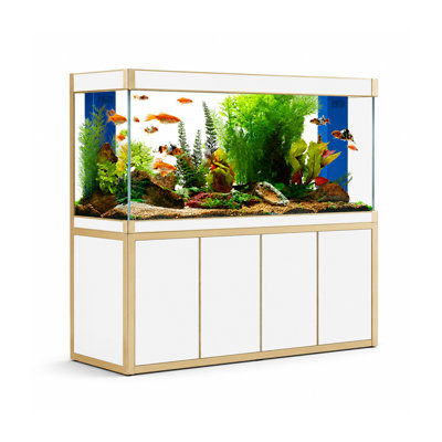 Rectangle Aquarium Tank