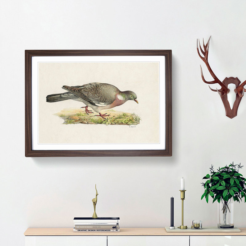 Common Wood Pigeon by Von Wright - Picture Frame Painting Print on MDF, Walnut Framed, 48cm H x 65cm W x 2cm D