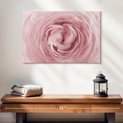 Hardie Blooming Rose