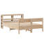 Storage Bed-111024106-111024105