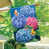Printemps bleu rose sélectionné