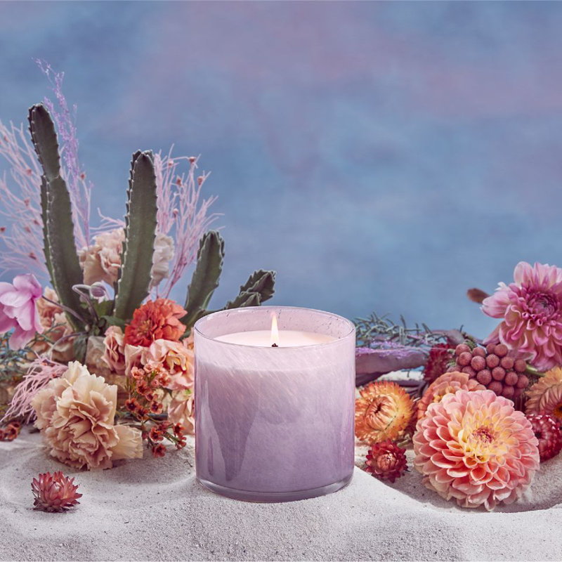 Midnight Cactus Classic Candle, 15.5 oz Jar