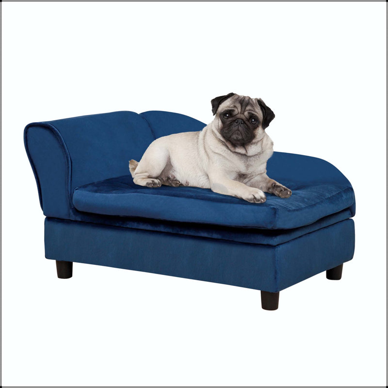 Canapé-lit de luxe pour petit chien avec rangement caché et coussin en mousse de 3 pouces (bleu), Blue