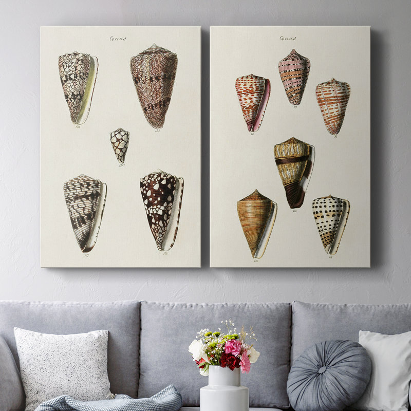 Collection Cone Shell III - Toile tendue avec châssis de qualité supérieure - Prêt à accrocher, H 60 po x l 80 po