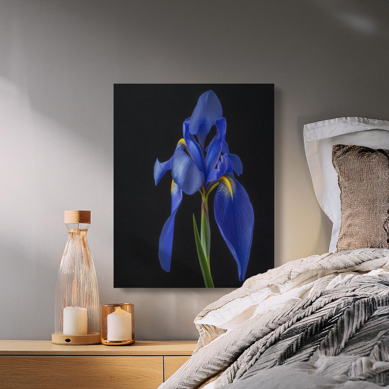 Fishel Wrapped Canvas Print Set, 16x24