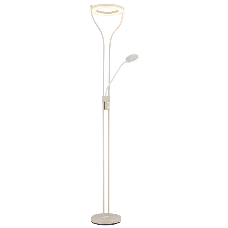 194cm Matte LED Novelty Floor Lamp