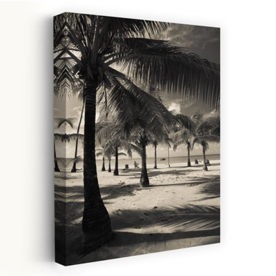 Palmiers sur la plage, plage de Luquillo, Luquillo, Porto Rico, abstrait, palmier contemporain, paysage, art naturel