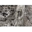 Tapis d'intérieur / extérieur gris clair / noir / blanc Christine-29298633