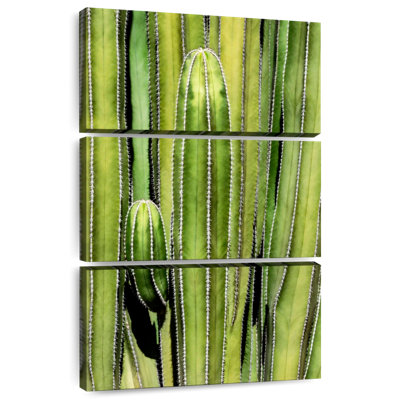 Superposition de cactus Harnek