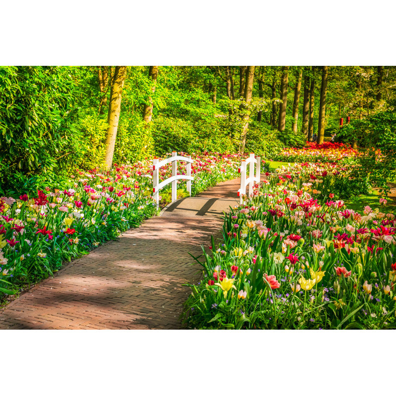 Stone Walk Way - Photographie sur toile tendue, H 20 po x l 30 po