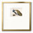 " Peackock Plumage " Painting Print-996218829-996218864
