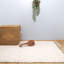 Clegg Solid Colour Cotton Hand Woven 120cm X 170cm Area Rug