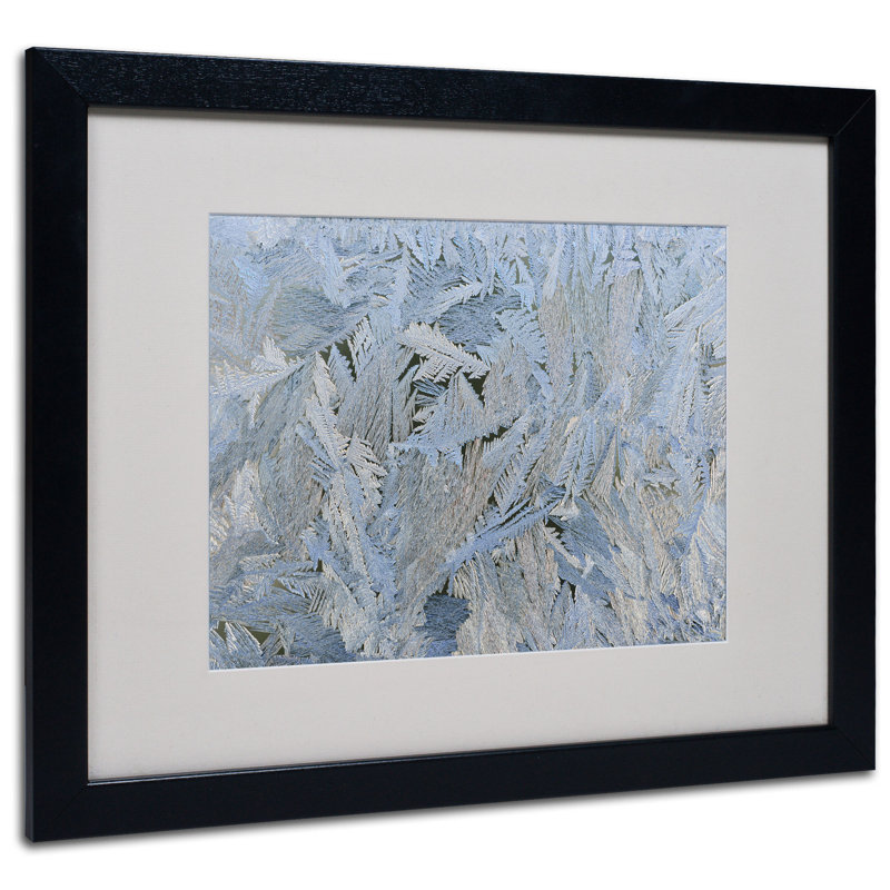 «Frost Pattern # 6» par Cooperstown, reproduction de photo sur toile encadrée, H 16 po x l 20 po x P 0,5 po, Noir