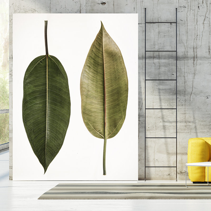 "Leaf Study 05" par Shot