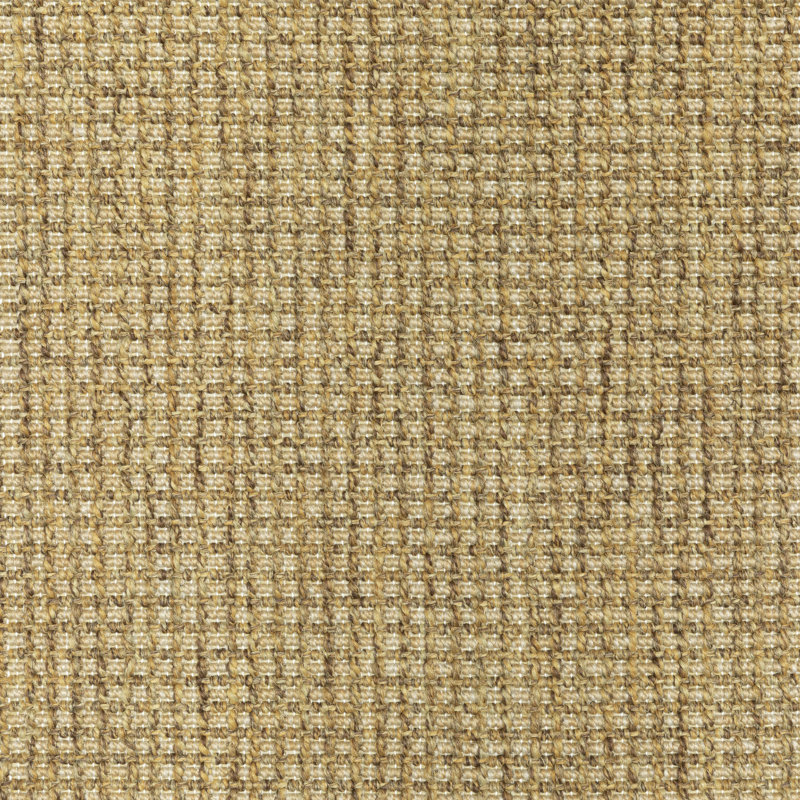 South Hampton Tan and Light Brown Indoor / Outdoor Area Rug, Rectangle 5'3" x 7'6"