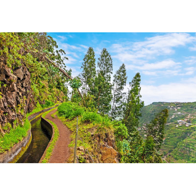 " Along The Levada, Madeira " by Aldorado