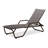 Outdoor Rust-Resistant Metal Chaise Lounge-19510309-48935060