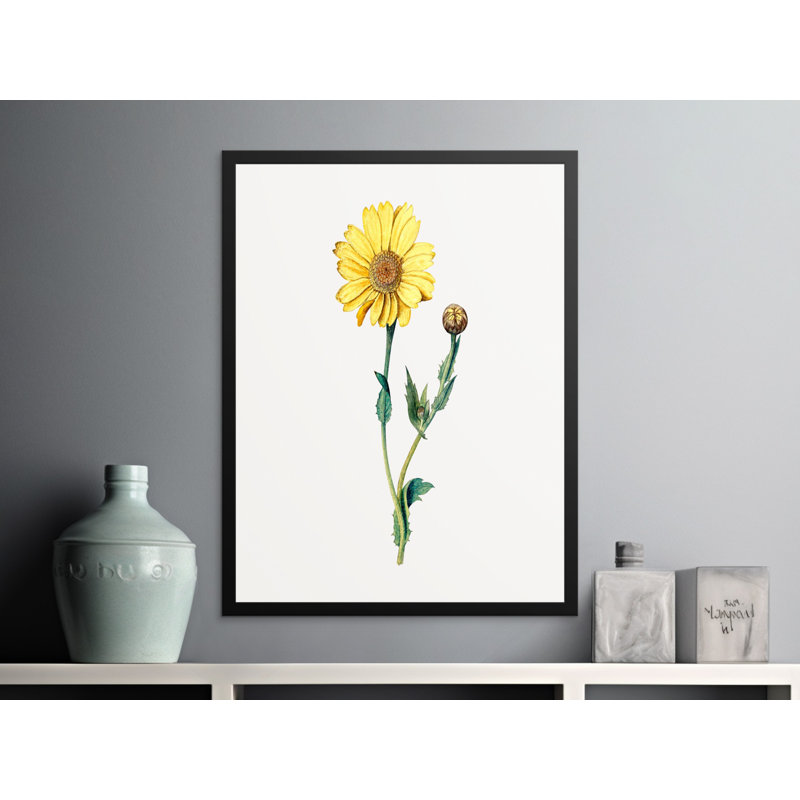 Comeau Single Picture Frame Print, 60.96 cm H x 40.64 cm W