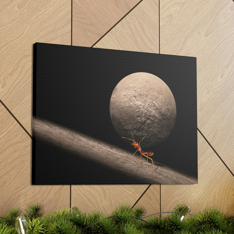No Frame Print on Canvas, 27.94cm H x 35.56cm W