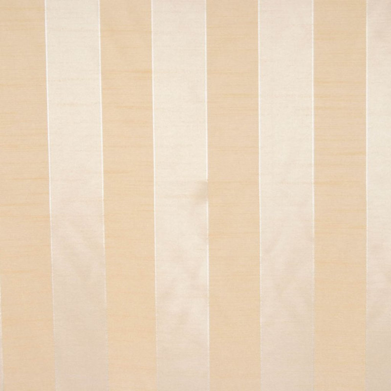 Picasso Fabric, Champagne