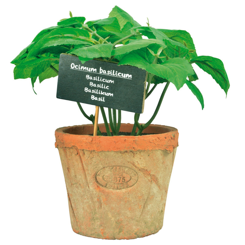 Artificial Basil in Aged Terracotta Pot, H19 x W10.6 x D10.6cm