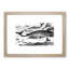 Assortment of Whales by John Karst - Picture Frame Painting-57844527-57844526