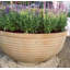 Fibreglass Planter