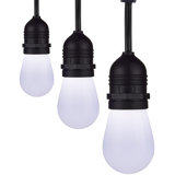 Outdoor 12 - Bulb 288'' Plug-in String Light