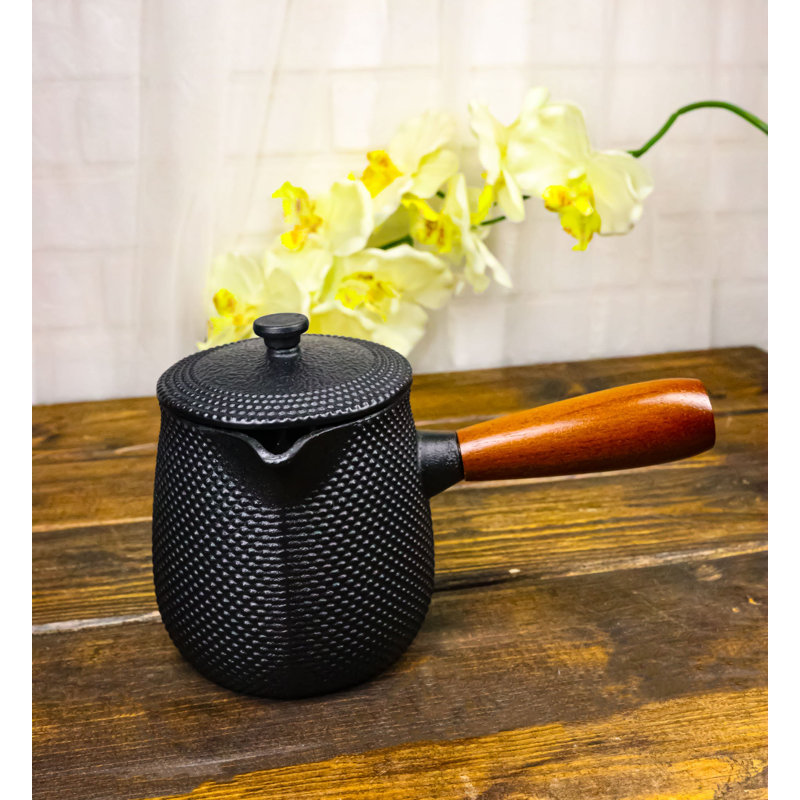 Théière en fonte à poignée latérale de style Kyusu, ornée de clous, 532 ml (18 oz), intérieur émaillé.