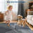 Machine Washable Rug for Living Rooms, Contemporary Stripe Printed Carpet, Soft Non Shedding Floor Covering for Bedroom Dining Room Office-1376896584