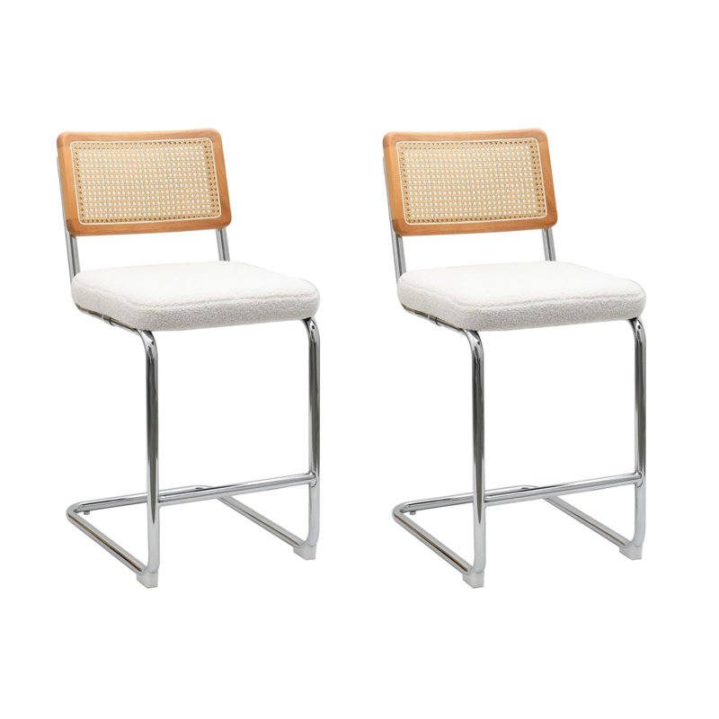 Crumley Natural Rattan 24" Counter Stool with Cane Rattan Back and Metal Frame (Set of 2), White