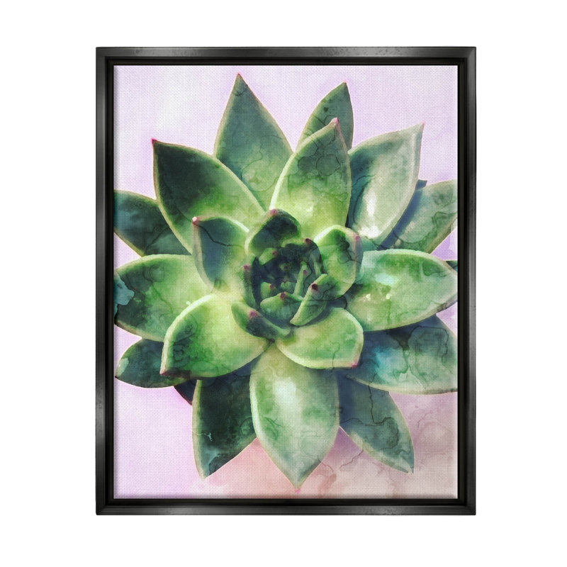 «Round Succulent Plant Leaves» par Daphne Polselli, H 21 po x l 17 po x P 1,7 po, Cadre flottant noir de jais